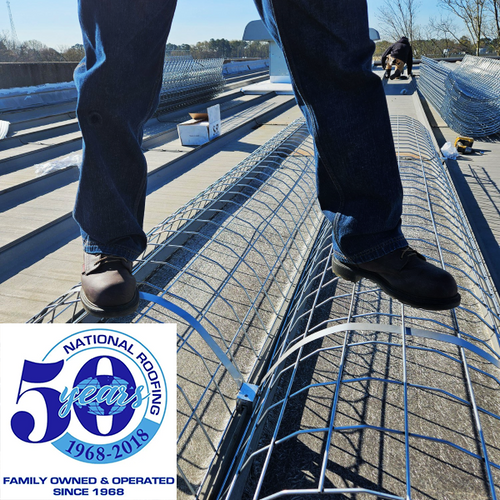 Worker demonstrating weight capacity of Safety Rail Source Model SSS NextGen Skylight Safety-Screen at National Roofing Corp in Suffolk, VA.