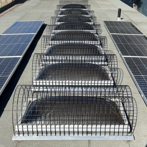 Row of eight skylights on a rooftop covered by metal screens