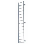 NextGen Steel™ Fixed Ladder