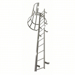 NextGen Steel™ Fixed Ladder with Cage