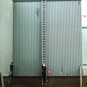 NextGen Mighty-Lite™ Aluminum Fixed Ladder - Far Away 
